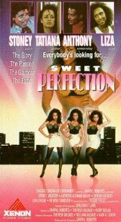 The Perfect Model (1988) постер