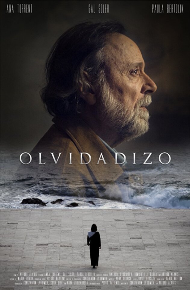 Olvidadizo (2017) постер