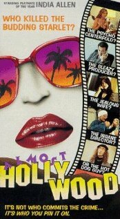 Почти Голливуд (1994) постер